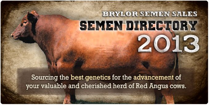 Canada's Pioneer Red Angus Breeders BRYLOR SEMEN SALES